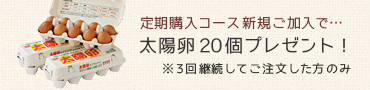 定期購入コース新規ご加入で太陽卵20個プレゼント