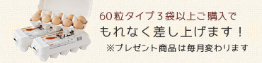 60粒タイプ3袋以上ご購入でもれなく差し上げます