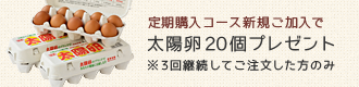 定期購入コース新規ご加入で太陽卵20個プレゼント